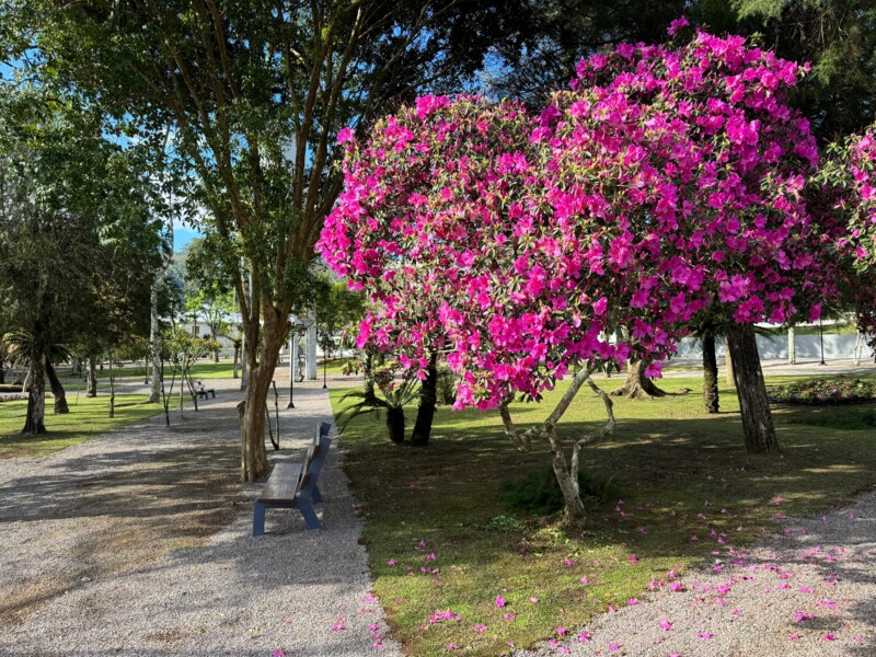 Imagem do WhatsApp de 2025-07-07 à(s) 10.42.21_0fc4bb2d.jpg