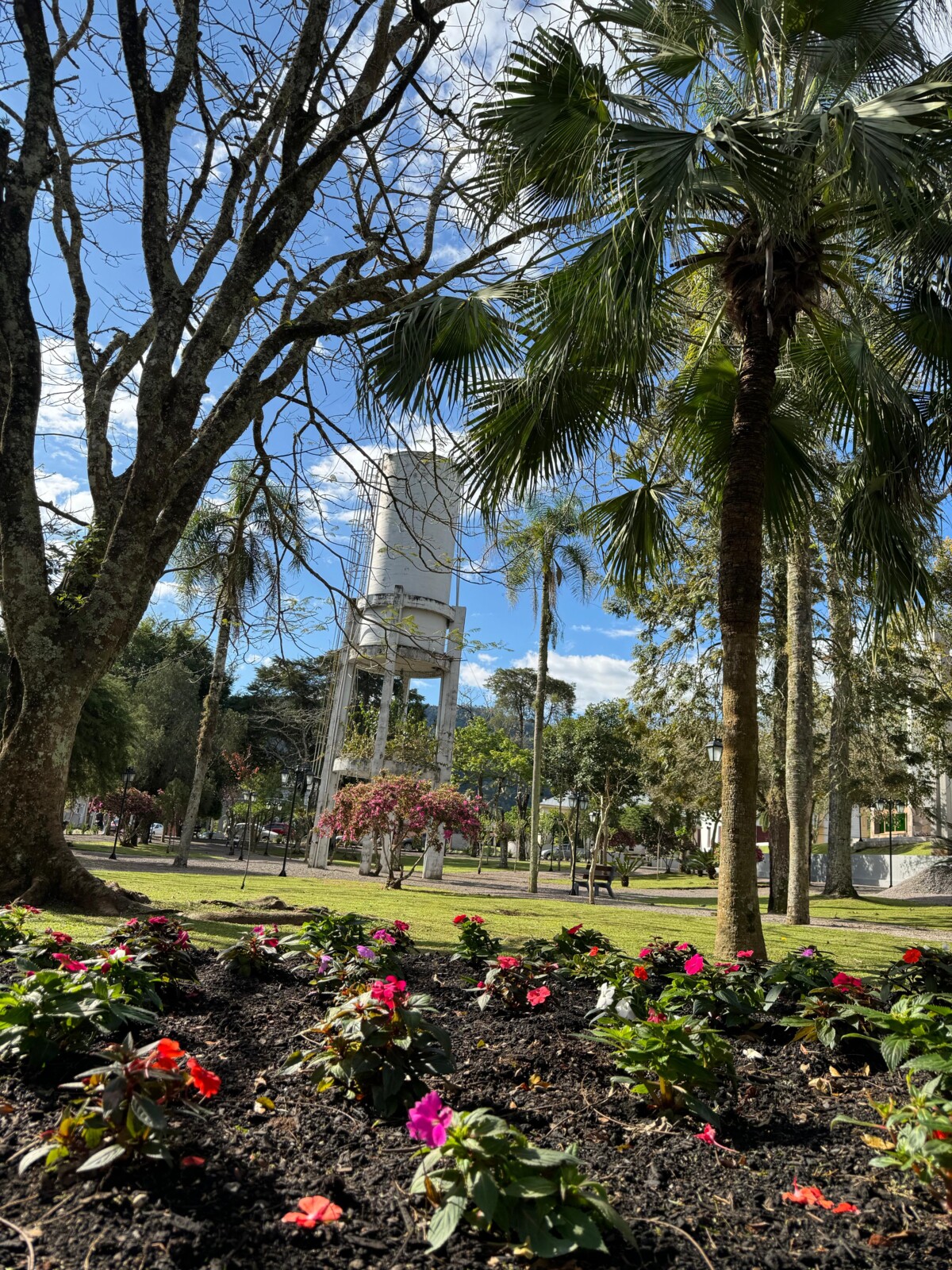 Imagem do WhatsApp de 2025-07-07 à(s) 10.42.21_656cc53b.jpg